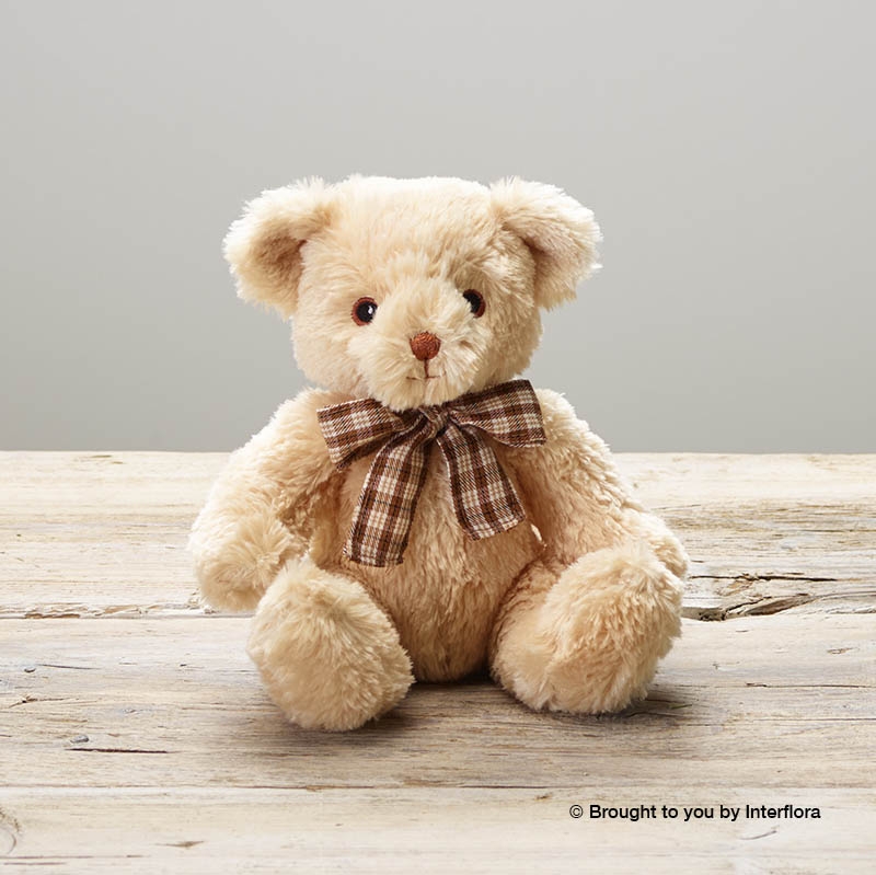 Lovely Lilacs New Baby in black Hatbox with James Junior Bear