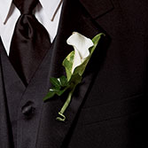 Chic White Calla Lily Buttonhole