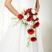 Crimson Gerbera & Orchid Shower Bridal Bouquet