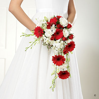 Crimson Gerbera & Orchid Shower Bridesmaid Bouquet